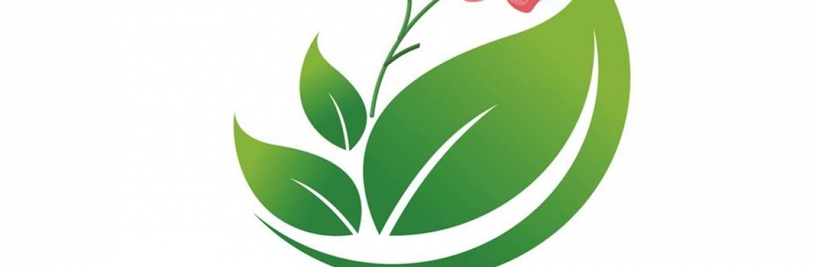 Campanie de dezinsecție terestră în Municipiul Baia Mare 17 - 31 August 2026 