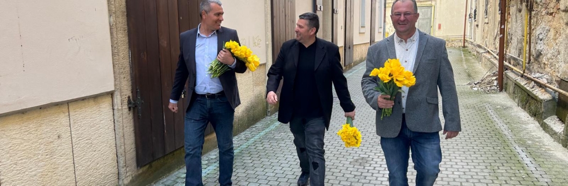 Lalele crescute cu iubire, dăruite din suflet