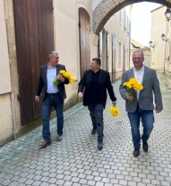 Lalele crescute cu iubire, dăruite din suflet